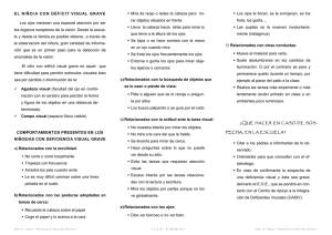 EL NIÑO/A CON DÉFICIT VISUAL GRAVE Los ojos merecen una