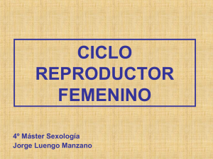 CICLO REPRODUCTOR FEMENINO