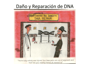 Daño y Reparación de DNA