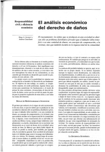 El análisis económico del derecho de daños