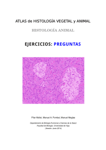 preguntas - Atlas de Histología Vegetal y Animal
