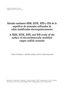 Estudio mediante SEM, EDX, XPS y EIS de la superficie de