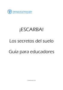 ¡ESCARBA! Los secretos del suelo