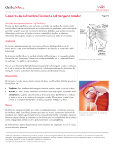 Compresión del hombro/Tendinitis del manguito rotador