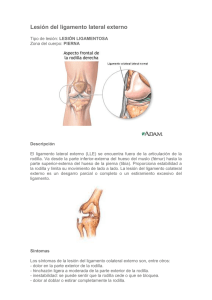 Lesión del ligamento lateral externo