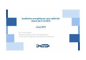 Auditories energètiques, que caldrà fer abans del 5.12.2015 Juny