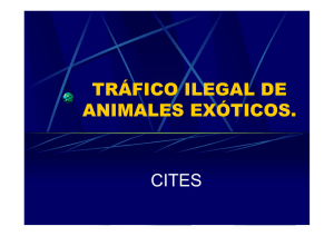TRÁFICO ILEGAL DE ANIMALES EXÓTICOS.