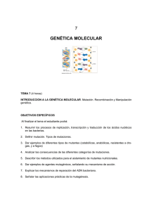 Tema 7: Genética molecular.