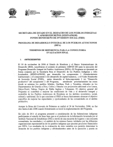 TORs Evaluación Final DIPA