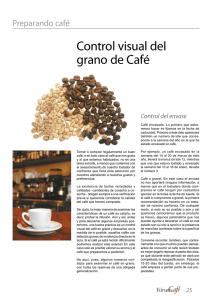 Control visual del grano de Café