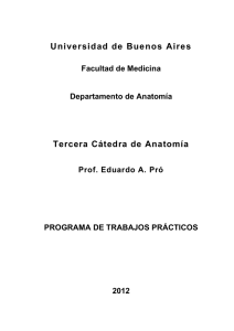 Facultad de Medicina - Universidad de Buenos Aires