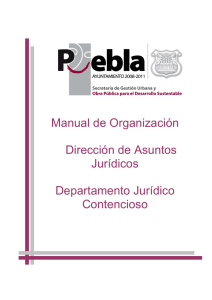 Manual de Organización Dirección de Asuntos Jurídicos