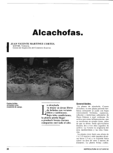 Alcachofas.