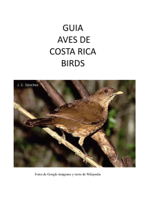 GUIA AVES DE COSTA RICA BIRDS