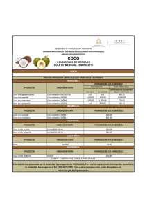Boletín Coco Enero 2015