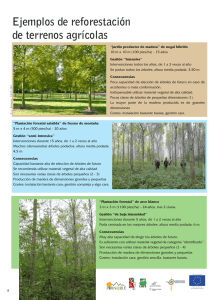 Ejemplos de reforestación de terrenos agrícolas