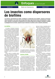 Los insectos como dispersores de biofilms