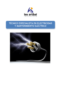 técnico especialista en electricidad y mantenimiento eléctrico