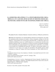 La asimetría bilateral y la inestabilidad del desarrollo