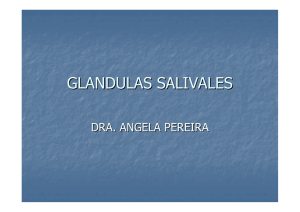 GLANDULAS SALIVALES
