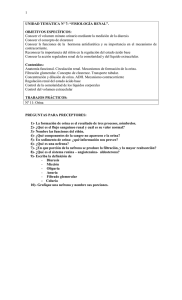 Fisiología renal