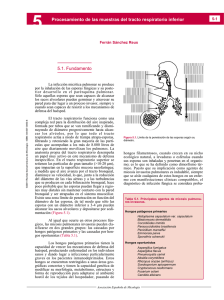 5.1. Fundamento Procesamiento de las muestras del tracto