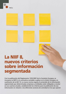 La NIIF 8, nuevos criterios sobre información segmentada