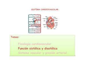 Sistema Cardiovascular II