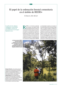 El papel de la ordenación forestal comunitaria en el ámbito de REDD+