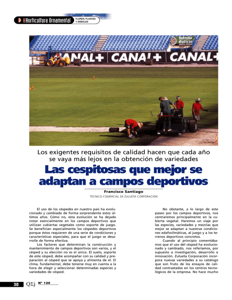 Las Cespitosas Que Mejor Se Adaptan A Campos Deportivos