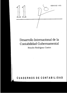 Desarrollo Internacional de la Contabilidad Gubernamental