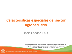 Características especiales del sector agropecuario. Rocío Cóndor