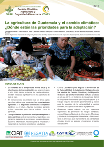 La agricultura de Guatemala y el cambio climático: ¿Dónde están