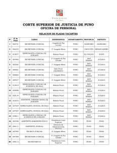 CORTE SUPERIOR DE JUSTICIA DE PUNO