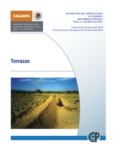 Terrazas Agr&iacute;colas: Gu&iacute;a para la Conservaci&oacute;n de Suelos