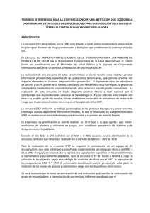 tdr contrato institucion coordine conformacion de