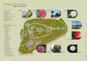 Parque do Castro - Sociedad Española de la Camelia