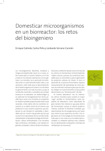 Domesticar microorganismos en un biorreactor: los retos