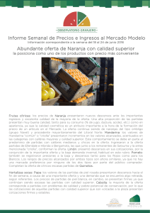Informe Nro 24 - Mercado Modelo