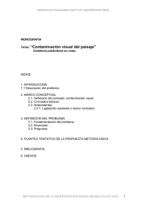 Tema: “Contaminación visual del paisaje”