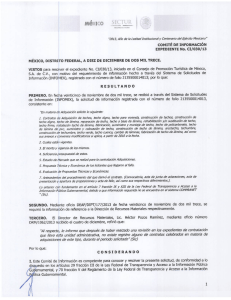 COMITÉ DE INFORMRCIÓN EXPEDIENTE No. CI/030113