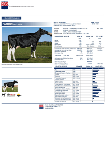 Page 1 S EL LIDERMUNDIALEN GENETICA BOVINA : HOLANDO