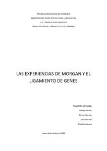 Las experiencias de Morgan y el Ligamiento de