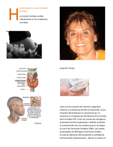 ipotiroidismo y autoinmunidad tiroidea La función tiroidea cambia