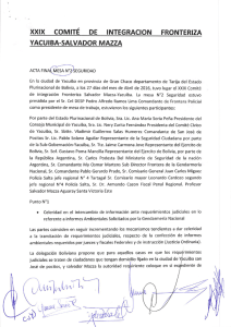 Page 1 XXIX COMITÉ DE INTEGRACION FRONTERIZA YACUBA