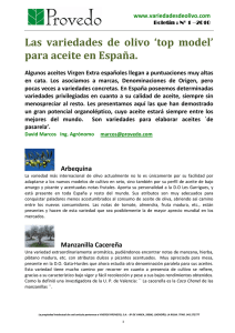 Las variedades de olivo `top model` ara aceite en España. p