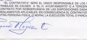 “EL CONTRATISTA" SERA EL ÚNICO RESPONSABLE DE LOS I