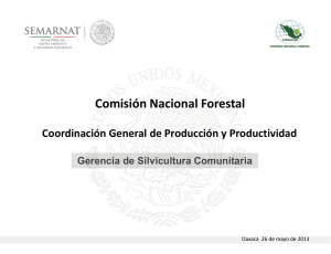 Importancia del sector forestal como área