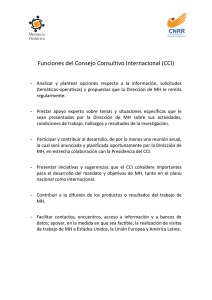 Funciones del Consejo Consultivo Internacional (CCI)