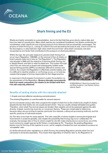 Shark finning and the EU